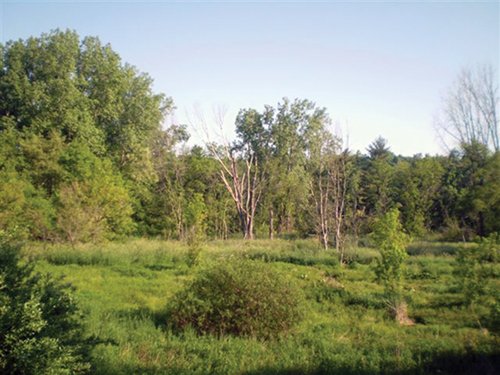 Property photo 4 - 20 Acres Offered in 3 Tracts - Hunting, Wildlife, & Recreation!
